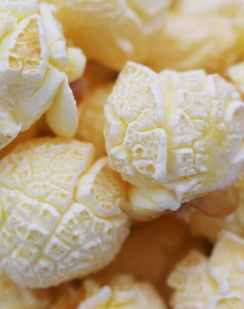 Gourmet Mushroom Popcorn Kernels