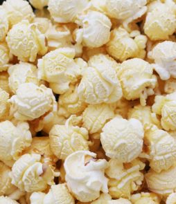 Mushroom Popcorn Kernels